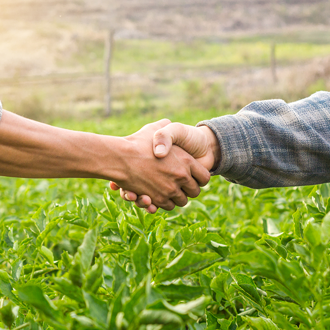 Langfristige Partnerschaften mit unseren Landwirten