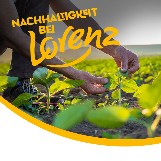 Fortschrittsbericht 2024